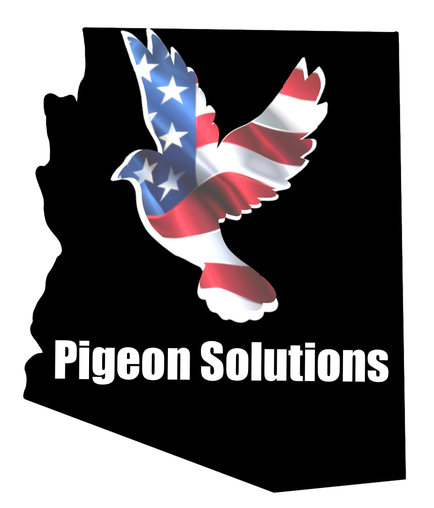Pigeon Solutions Bird control